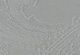 Jacquard polyester/rayon body lining fabrics
